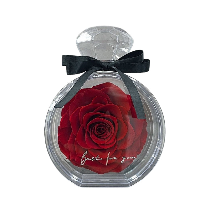 Eternal Rose Gift Box: Elegant Dried Flower Ornament - Transparent Cover (Perfect for Valentine’s Day & Home Décor)- Fashionzapp